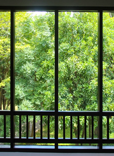 Alyans cam vermiş olduğu hizmetlerden dışarıyı ve camı gösteren bir görsel